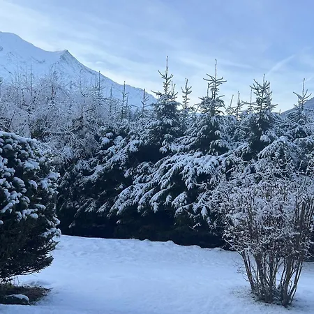 Nature Duplex - Happy Apartman