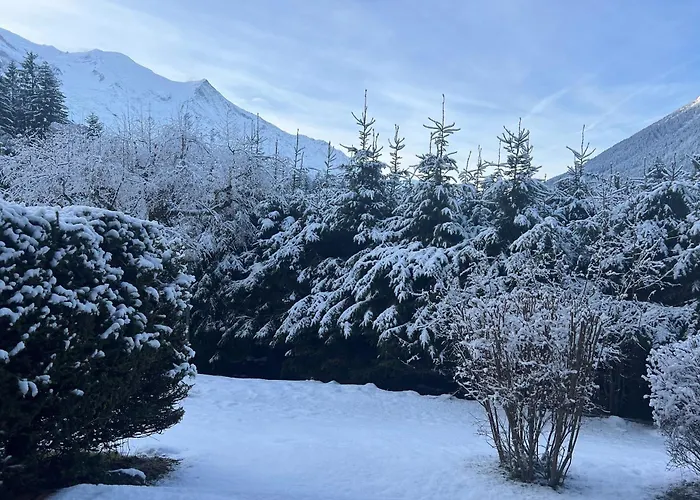 Nature Duplex - Happy Daire